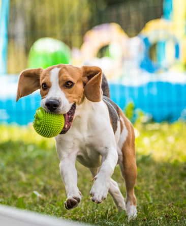 Sea View from Residence